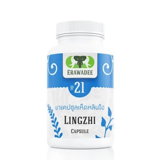 No.21 Lingzhi Mushroom — Daily Vitality & Antioxidant Support