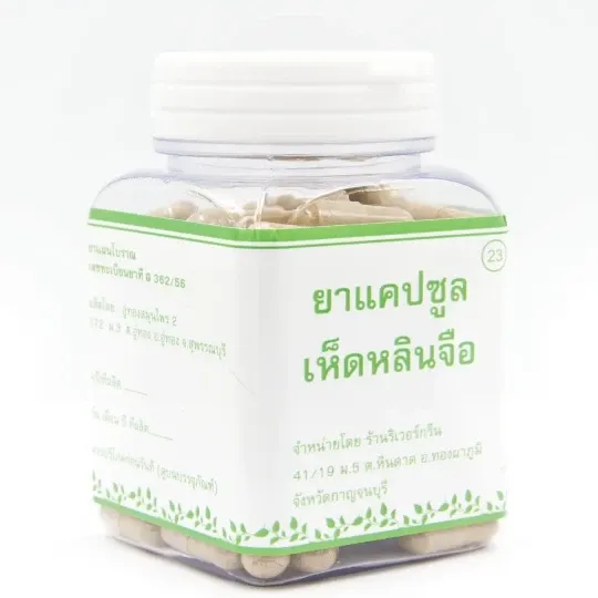 Cendawan Lingzhi (Reishi)