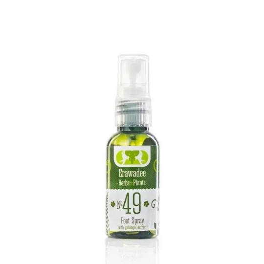 No.49 Semburan Kaki Halia