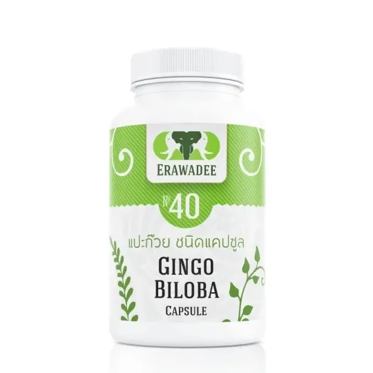No.40 Ginkgo biloba ( Pengobatan untuk pembuluh darah otak )