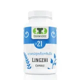 No.21 Lingzhi Mushroom — Daily Vitality & Antioxidant Support 1
