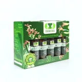 Thai Herbal Nasal Inhalant with Agarwood 12 pcs 2