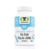 N14 Far Talai Jone (Andrographis paniculata) Cold and flu treatment 500 mg 1