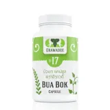 No.17 Bua Bok Nervous System Medication 1