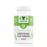 No.31 Ginkgo Biloba and Panax Ginseng 1