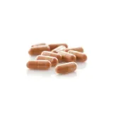 No.21 Lingzhi Mushroom — Daily Vitality & Antioxidant Support 2
