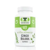 No.40 Ginkgo biloba ( Pengobatan untuk pembuluh darah otak ) 1
