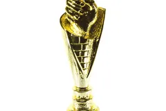 Award 11