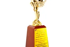 Award 4