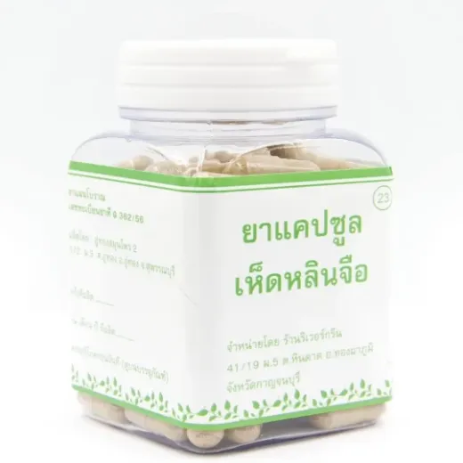 Cendawan Lingzhi (Reishi)