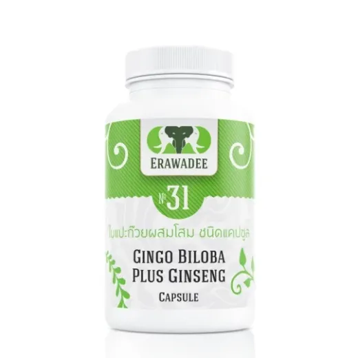 No.31 Ginkgo Biloba and Panax Ginseng Penguat Otak dan Memori