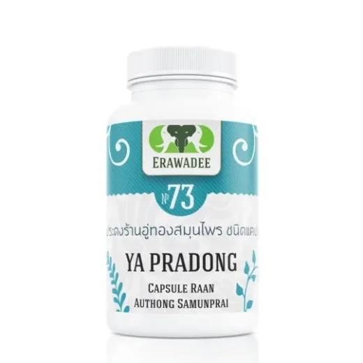 No.73 Ya Pradong Perawatan Penyakit Kulit