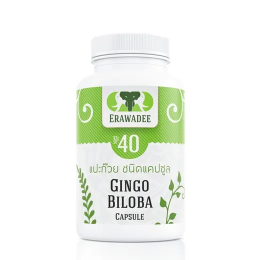 Ginkgo Biloba No.40 — Cognitive Support and Circulation Formula