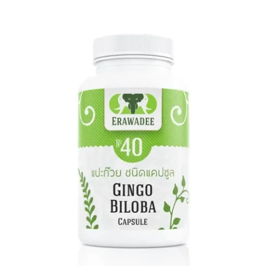 Ginkgo Biloba No.40 — Cognitive Support and Circulation Formula