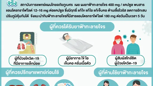 Kantor berita Thailand HFOCUS mengumumkan penambahan Andrographis Paniculata ke daftar utama obat untuk penggunaan kompleks pada pasien dengan COVID-19.