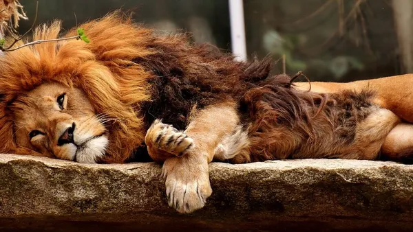 5 tips yang tidak biasa untuk mengelola insomnia
