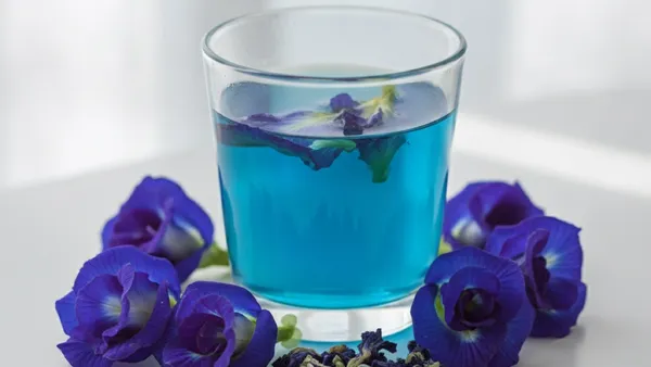 Butterfly Pea Flower: Benefits, Tea & Hair Care Uses
