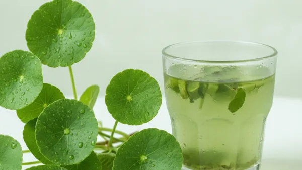 Centella Asiatica (Gotu Kola): Benefits, Uses & Dosage