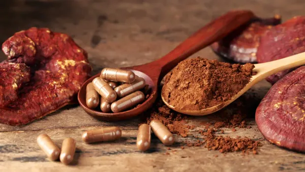 Reishi (Lingzhi) Mushroom: Benefits, Uses, Dosage