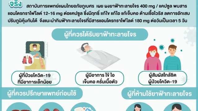 Kantor berita Thailand HFOCUS mengumumkan penambahan Andrographis Paniculata ke daftar utama obat untuk penggunaan kompleks pada pasien dengan COVID-19.