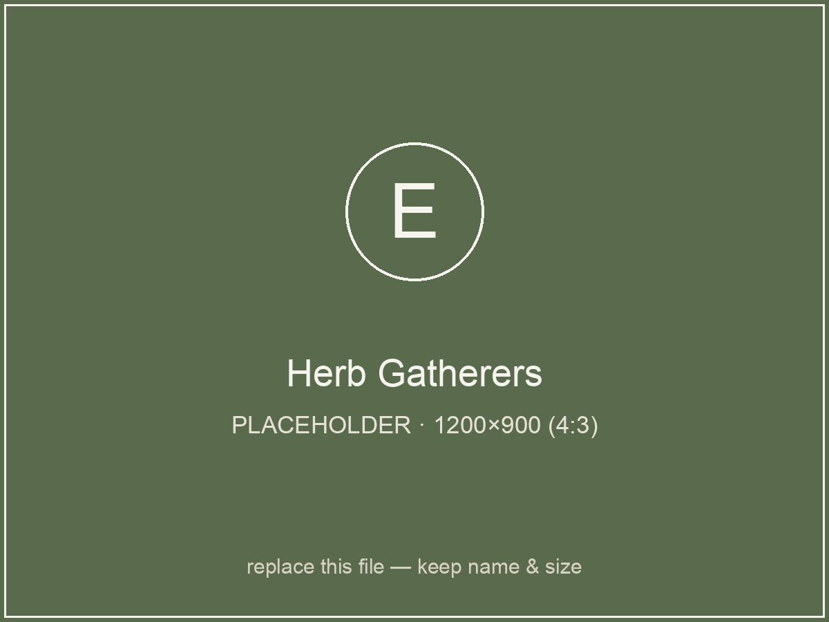 Herb Gatherers